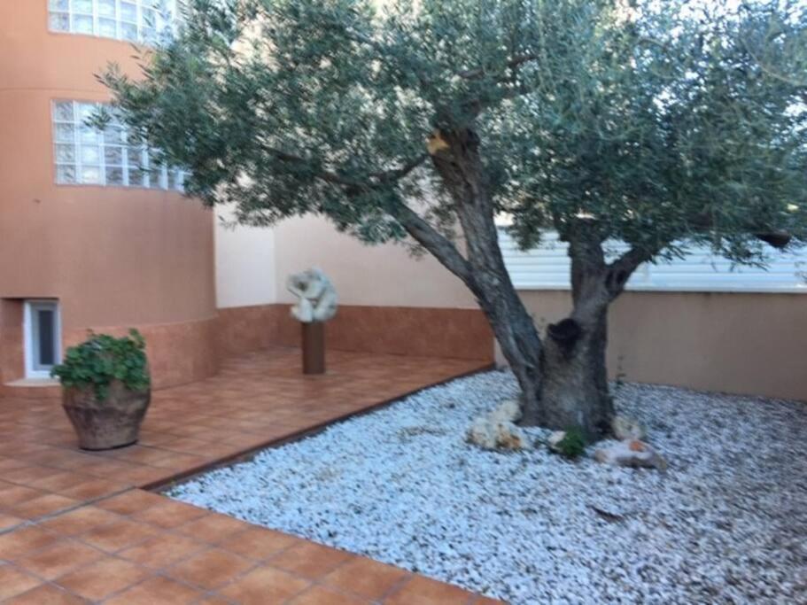 Apartament Preciosas Vistas Al Mar Y Montana En La Ampolla L'Ampolla Zewnętrze zdjęcie